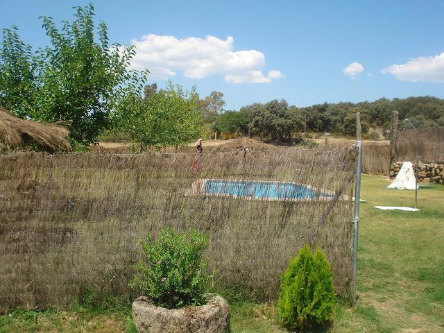 ホテルComplejo Rural El Prado Logrosán エクステリア 写真